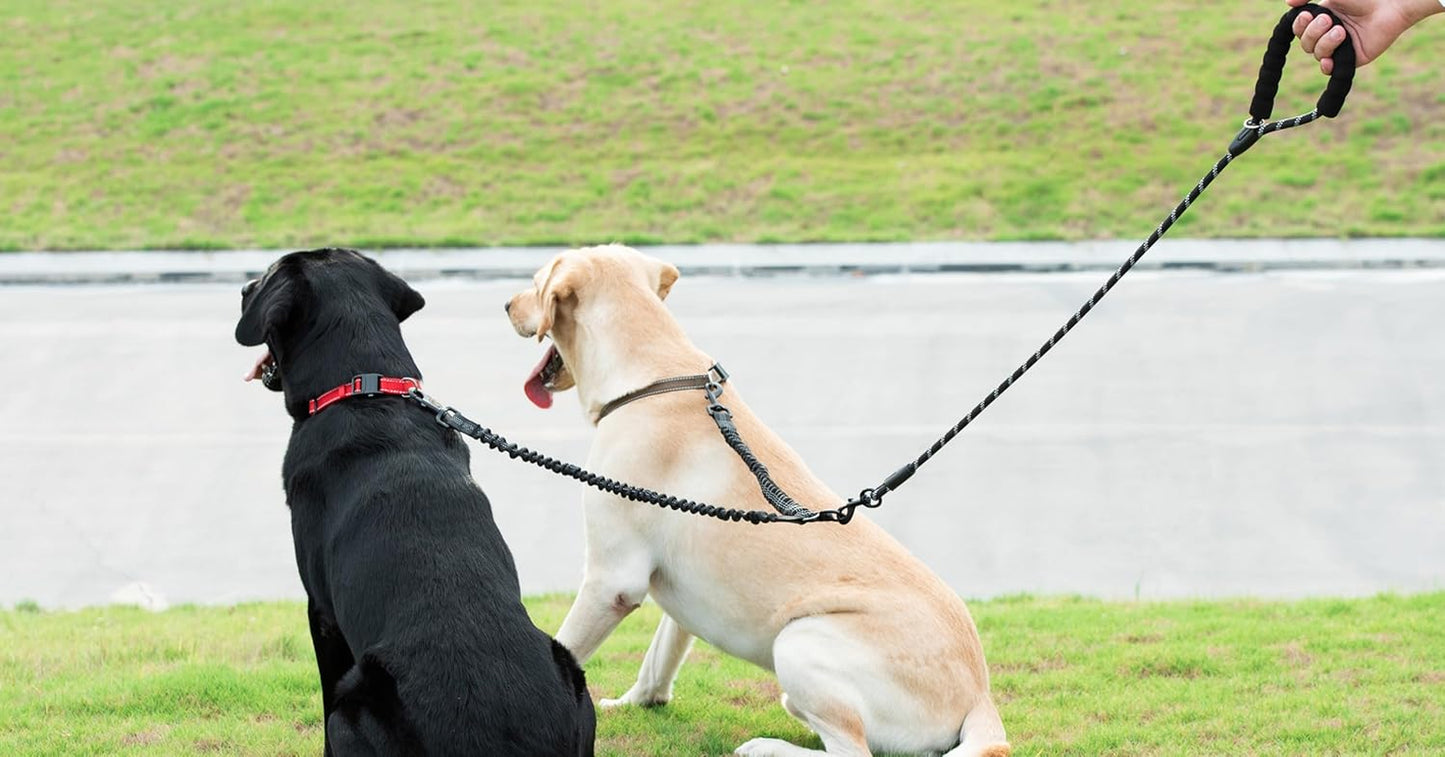 Dual Dog Leash - 360° Swivel, No Tangle Walking Leash with Shock Absorbing Bungee for Two Dogs (Large, 25-150 Lbs, Black)