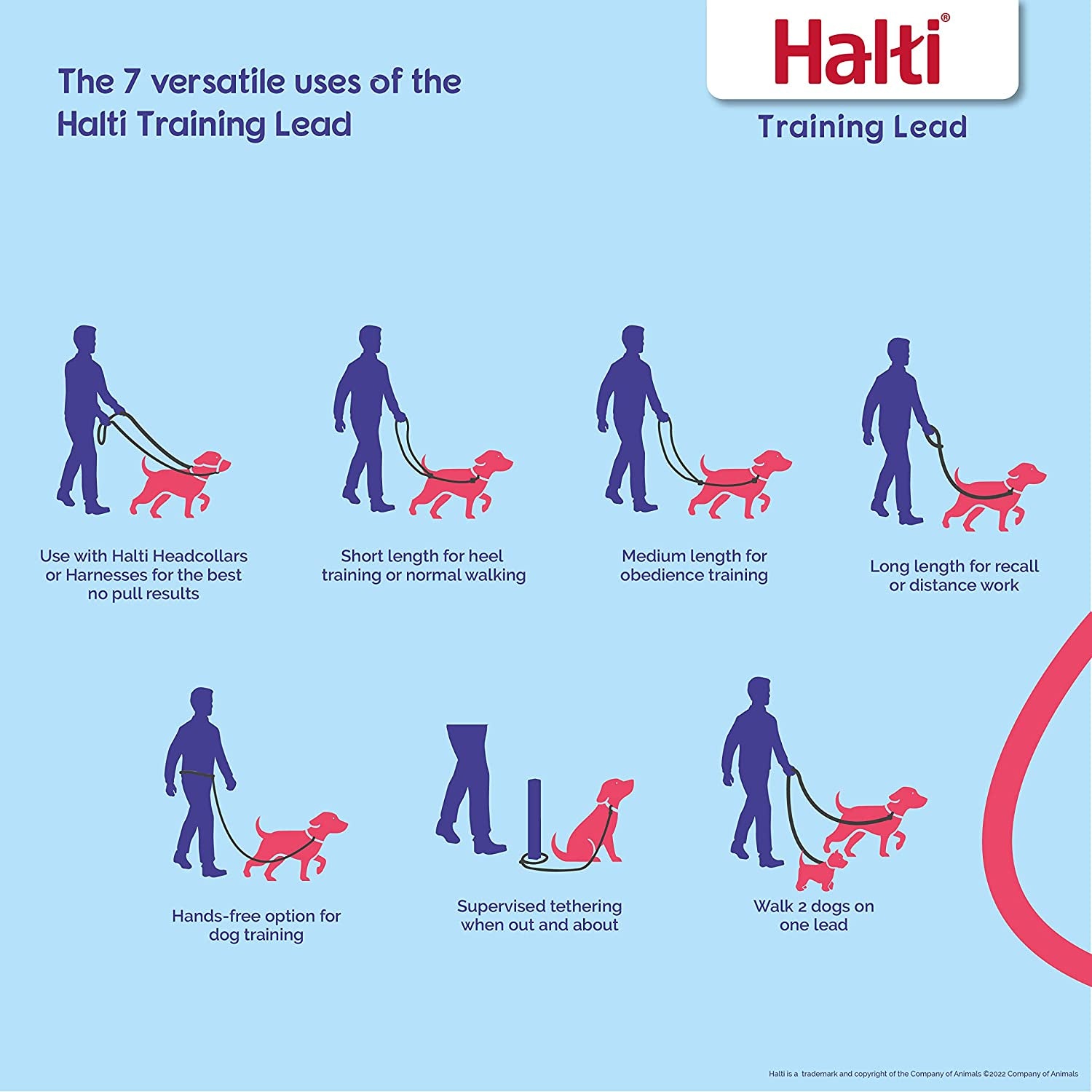 HALTI Training Leash - Multifunctional Double-Ended Dog Leash, Ideal for Anti-Pulling Dog Training. Easy to Use, Lightweight & Durable. Suitable for Medium to Large Dogs & Puppies (Size Large, Red)