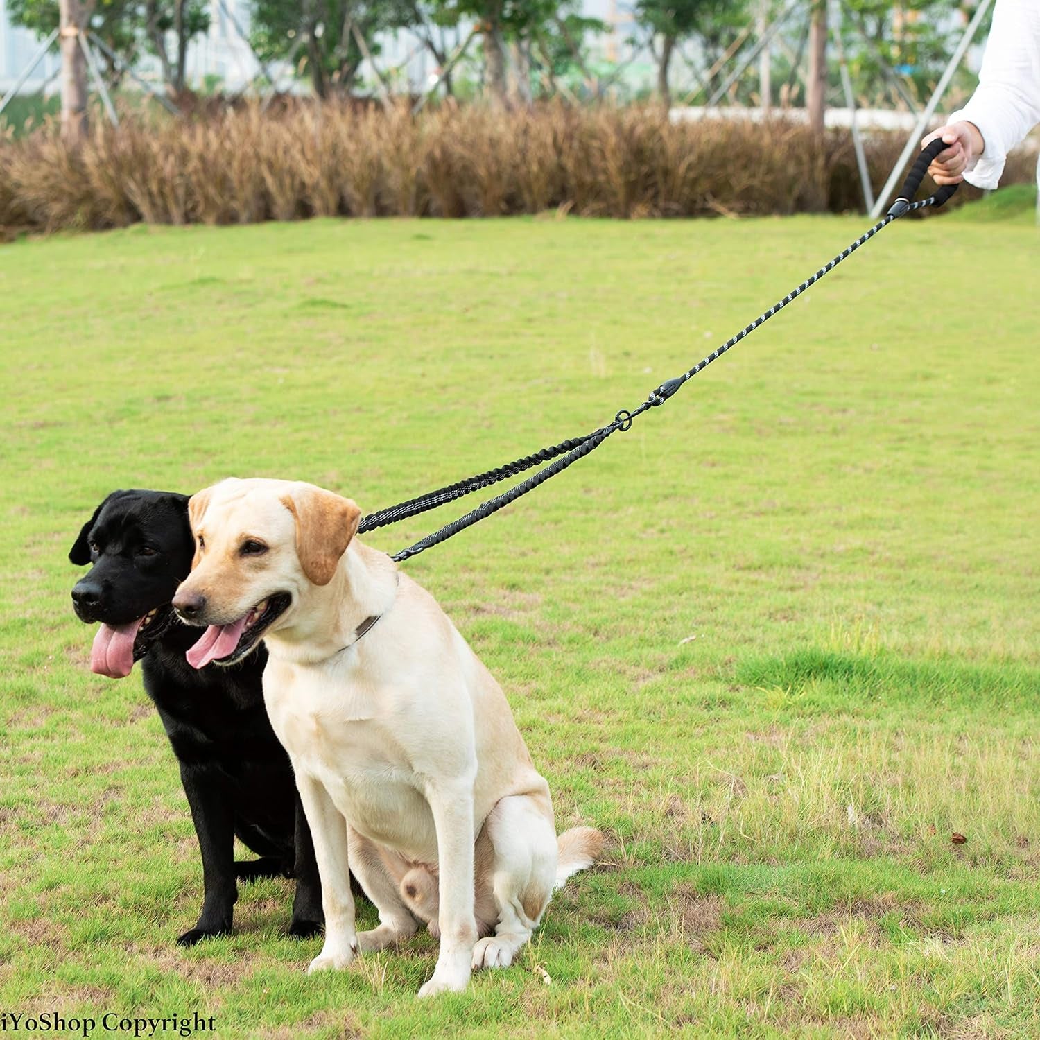 Dual Dog Leash - 360° Swivel, No Tangle Walking Leash with Shock Absorbing Bungee for Two Dogs (Large, 25-150 Lbs, Black)