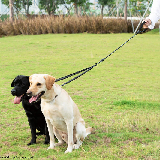 Dual Dog Leash - 360° Swivel, No Tangle Walking Leash with Shock Absorbing Bungee for Two Dogs (Large, 25-150 Lbs, Black)